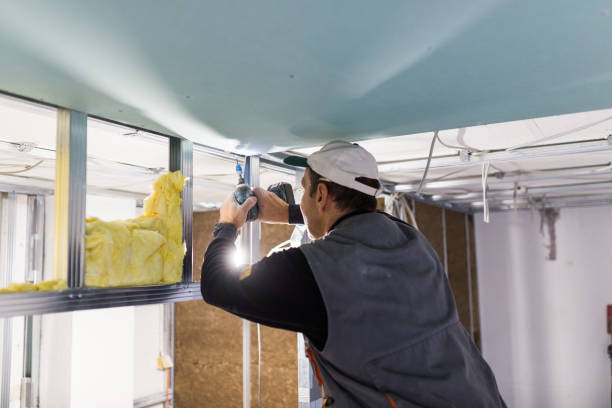 Best Residential Insulation in Jarrettsville, MD